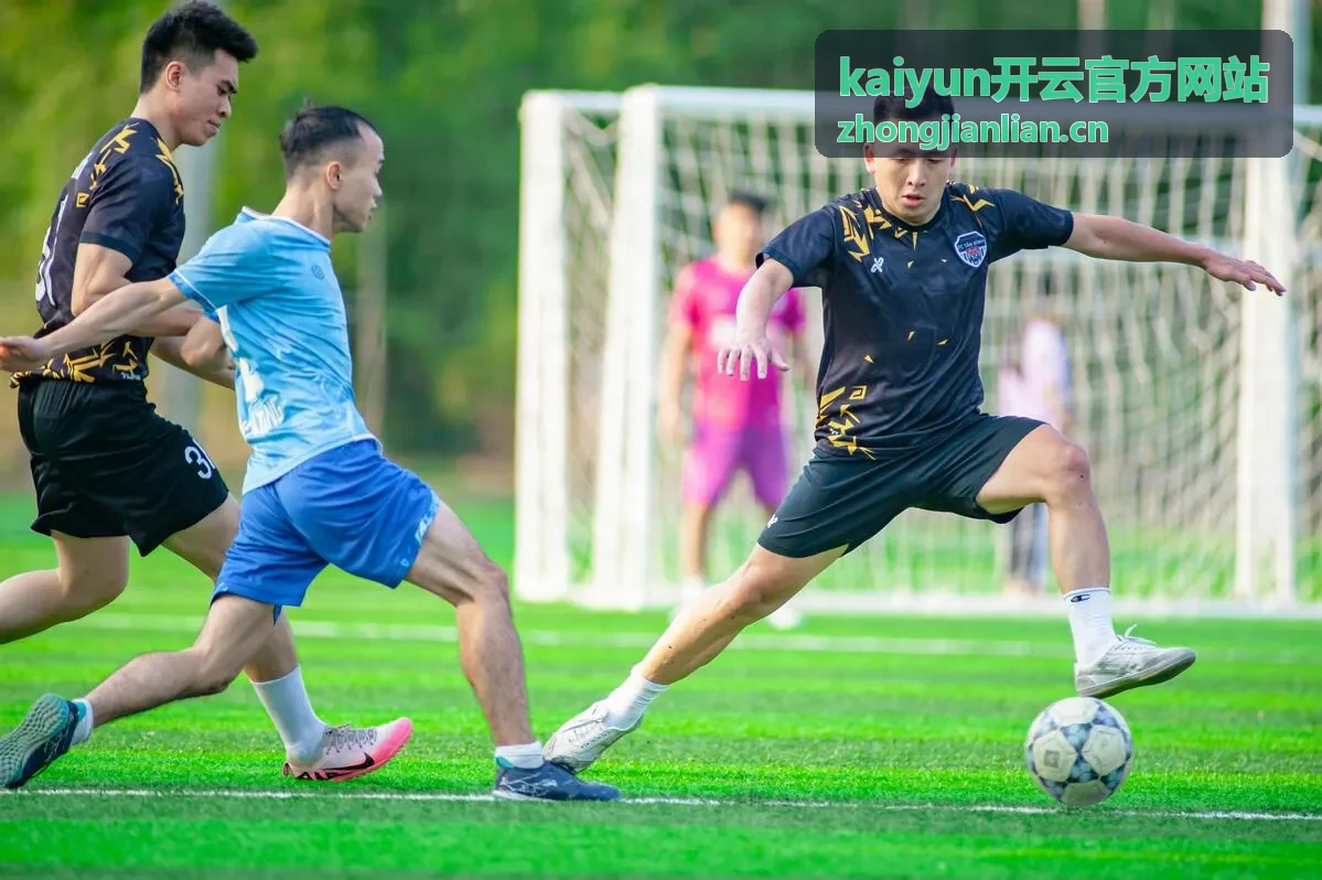 kaiyun开云官方网站标准会员资料查阅界面